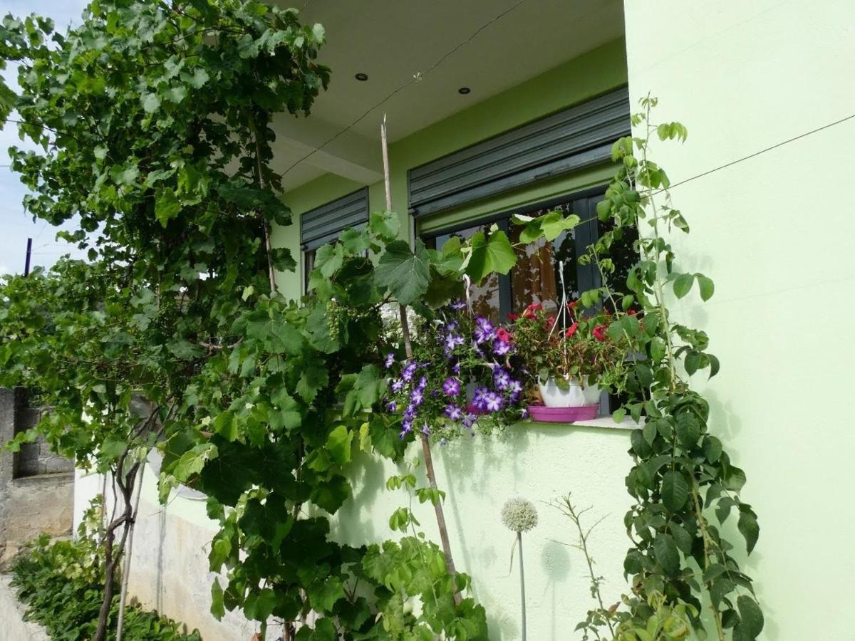 Guesthouse Aleksander Берат Экстерьер фото